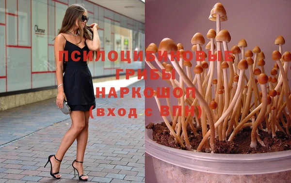 гашишное масло Алексеевка