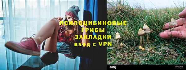 герыч Алзамай
