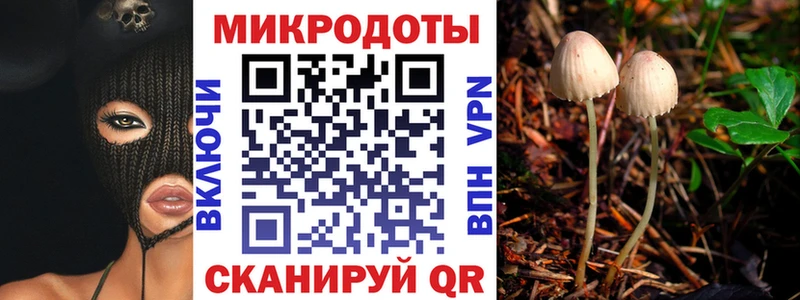 Псилоцибиновые грибы Psilocybine cubensis  Курганинск 